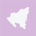 Nicaragua SHG EP San Jose Estate (250 g) - Mood Coffee Roastery