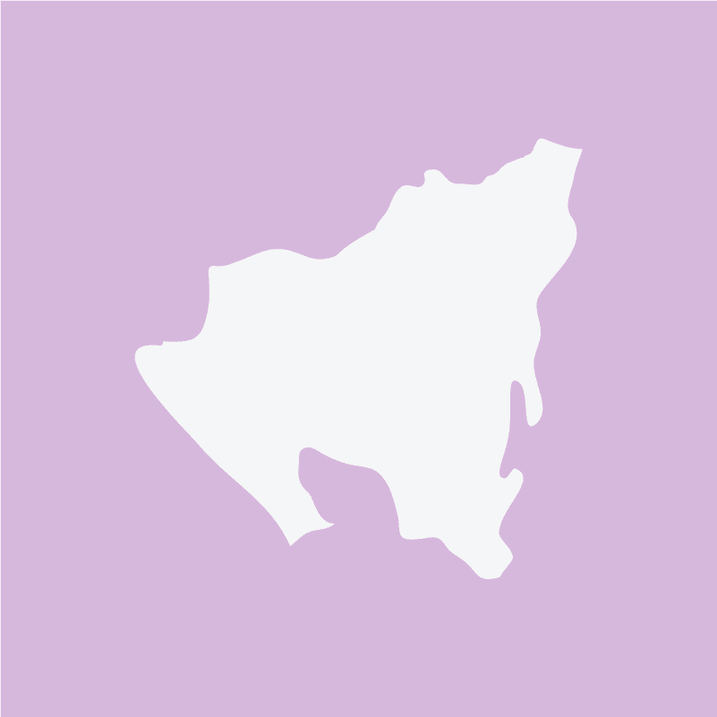 Nicaragua SHG EP San Jose Estate (250 g) - Mood Coffee Roastery