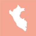 Peru Cajamarca GR1 (250 gr) - Mood Coffee Roastery