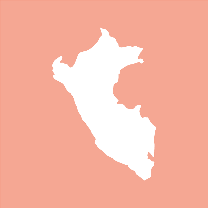Peru Cajamarca GR1 (250 gr) - Mood Coffee Roastery