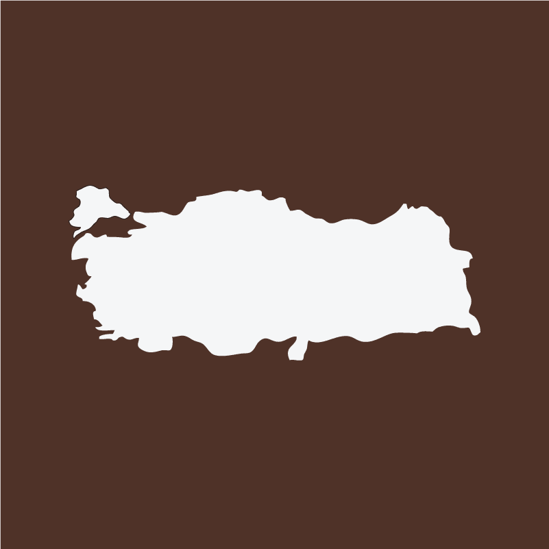 Taze Kavrulmuş Türk Kahvesi (100 g) - Mood Coffee Roastery
